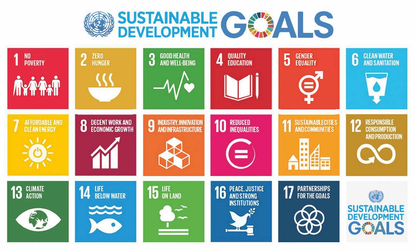 Sustainable Development Goals Icons